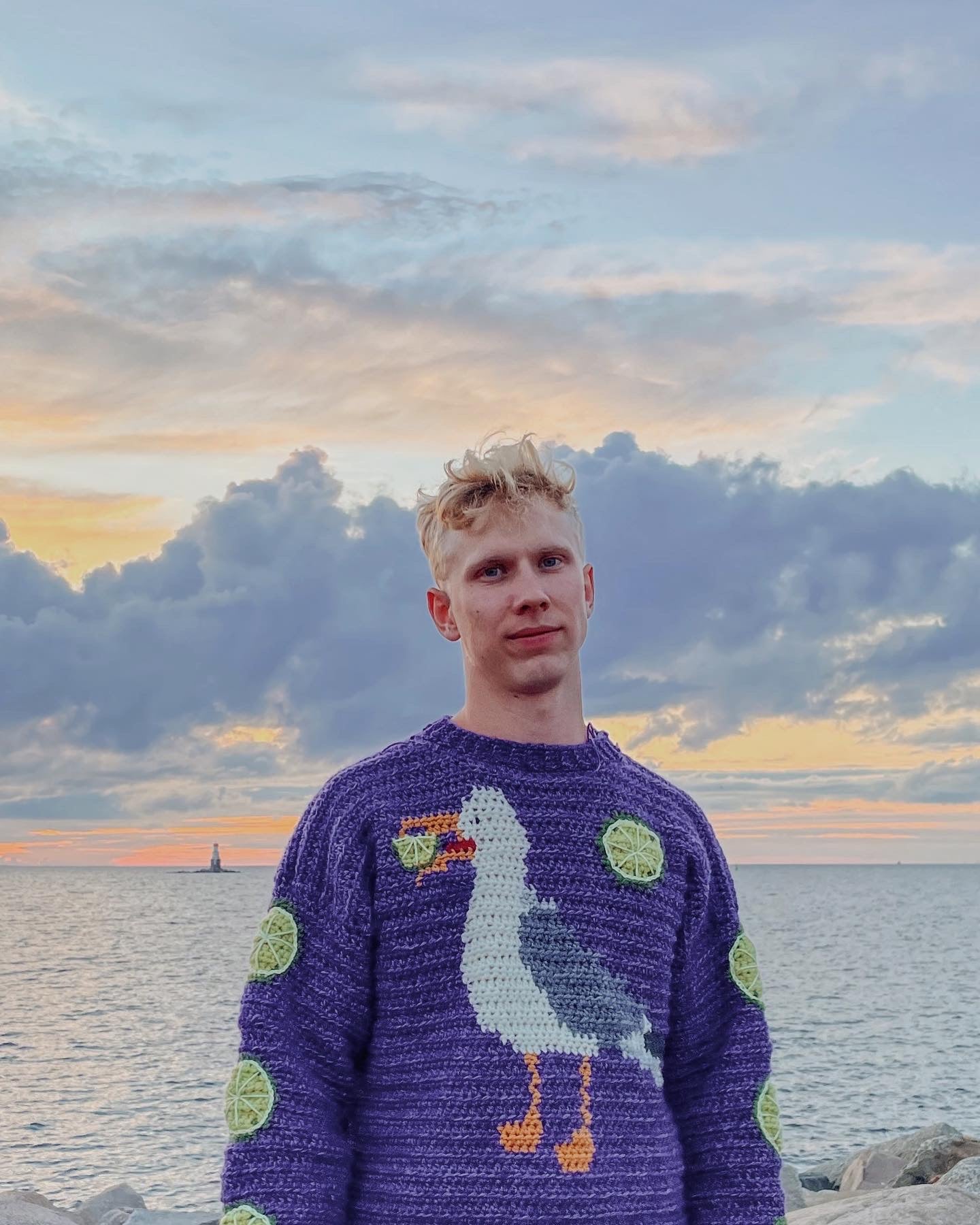 Hughgull Sweater